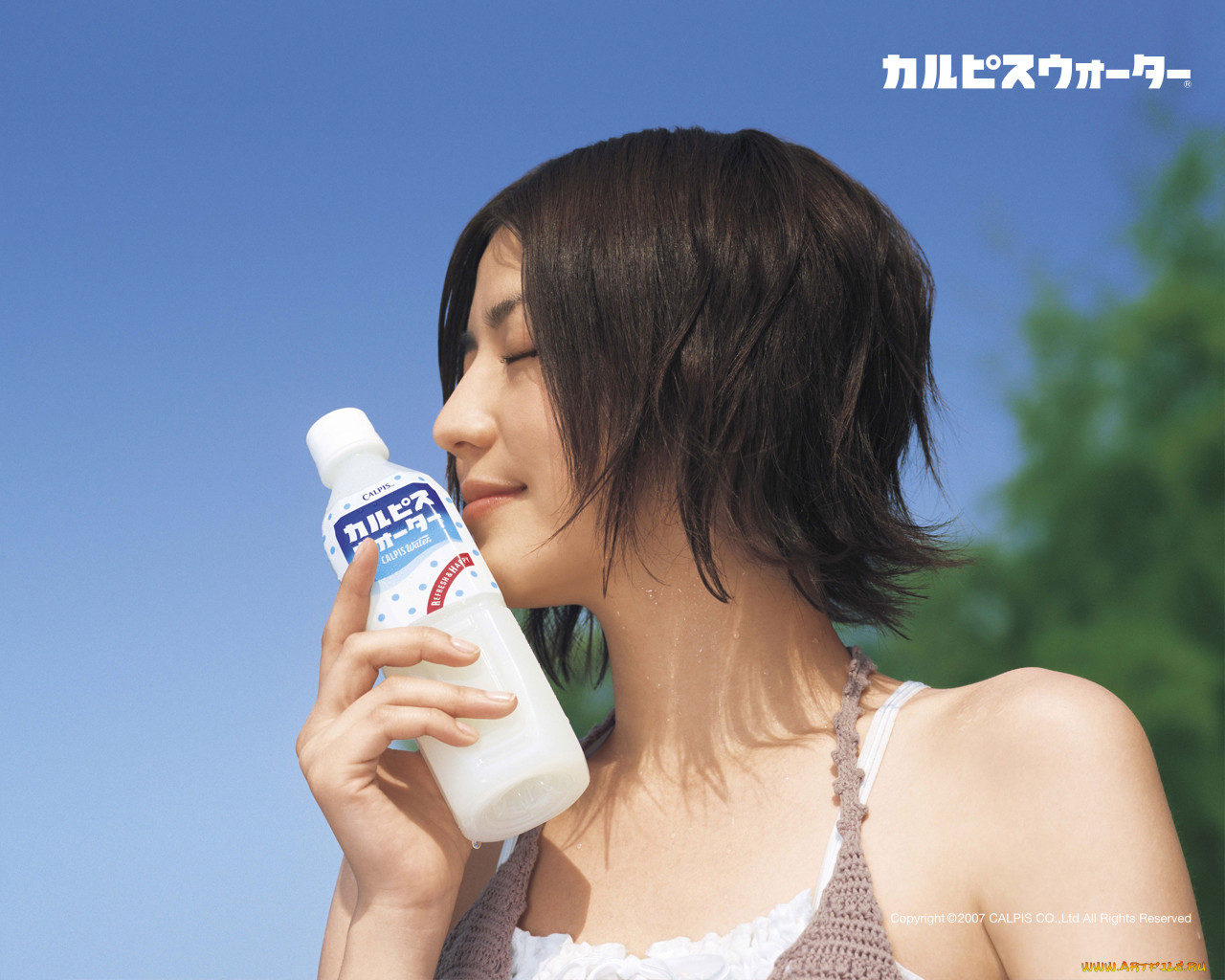 calpis, 